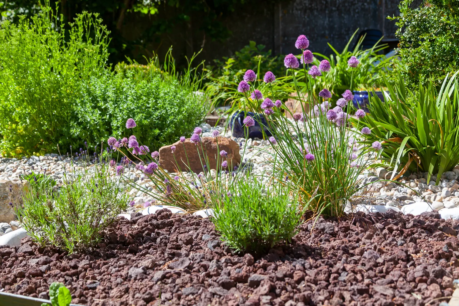 Création jardin Cuguen
